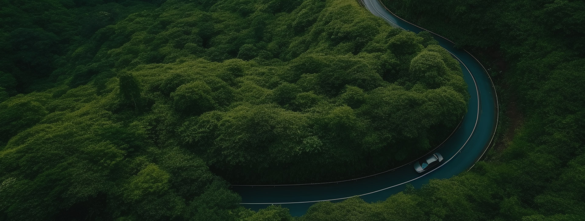 绿色滑石共筑生态家园